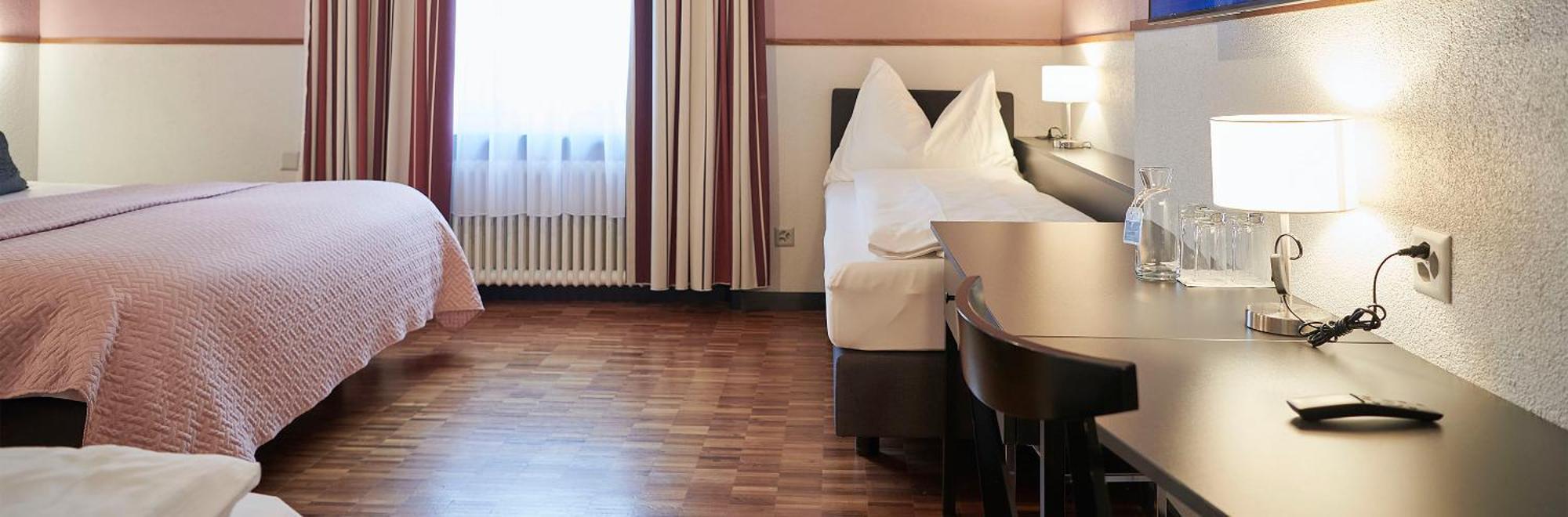Hottingen Hotel Zürich